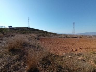 Terreno rustico in vendita a La Pinilla - Las Palas