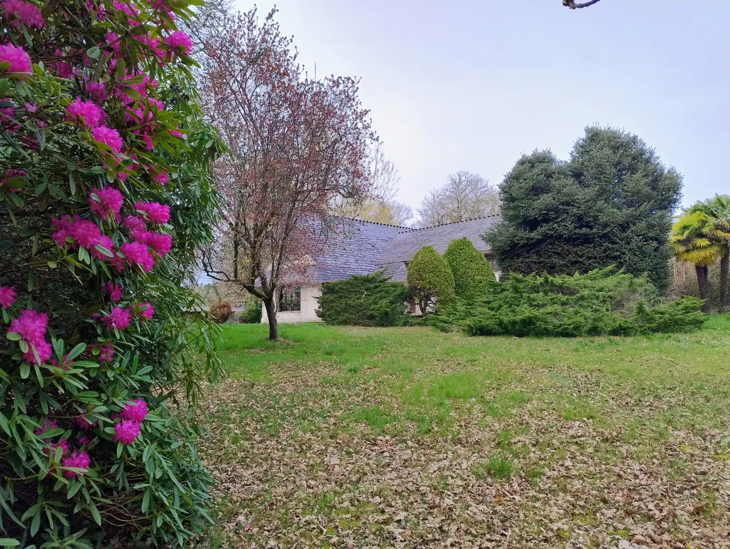 Jardín de Casa o chalet en venta en Lugo con Amueblado