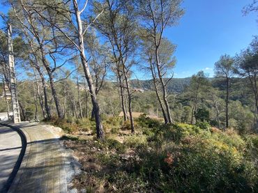 Terrenos y solares en venta en Olivella