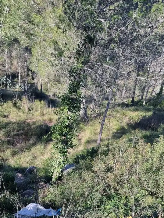 Lands and plots for sale in Canyelles, imagen 2