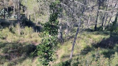 PARCELA DE 927 MTS PARA CONSTRUIR CHALET INDEPENDIENTE, immagine 2