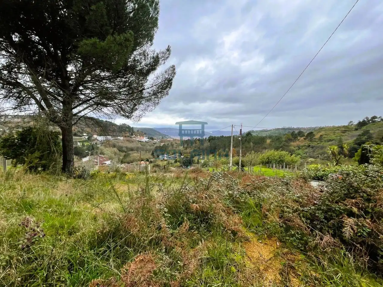 Terreni e lotti in vendita a O Pereiro de Aguiar, imagen 3