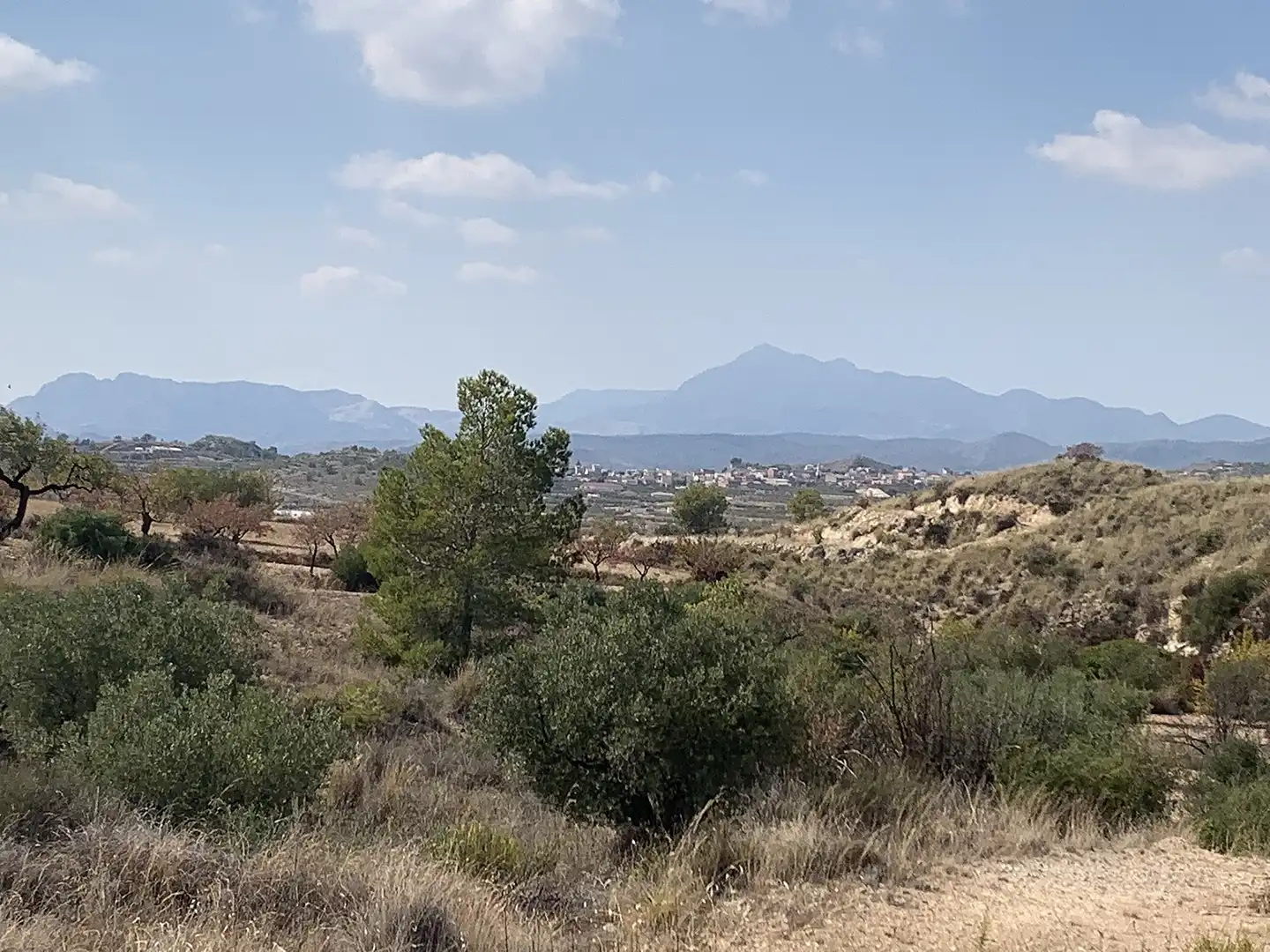 Country homes for sale in Abanilla