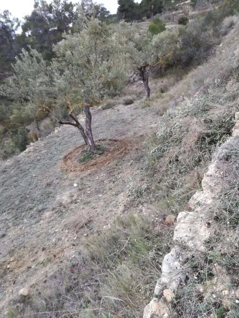 Country homes for sale in La Font de la Figuera