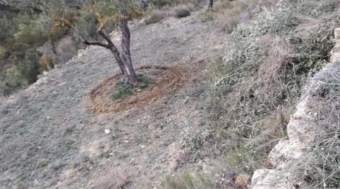 Photo 5 of Country house for sale in La Font de la Figuera, Valencia