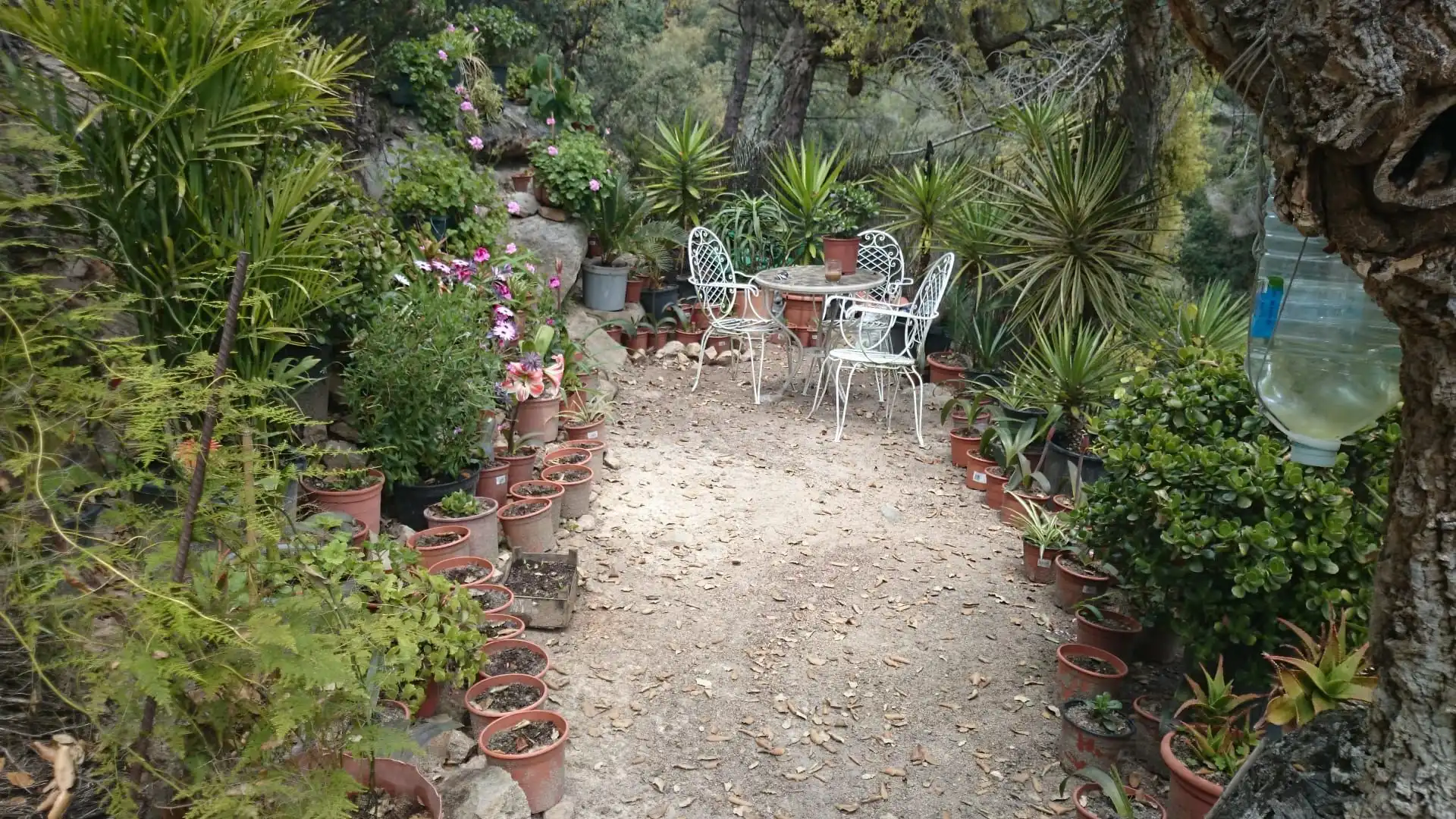 Terrenos y solares en venta en Canyelles, imagen 10
