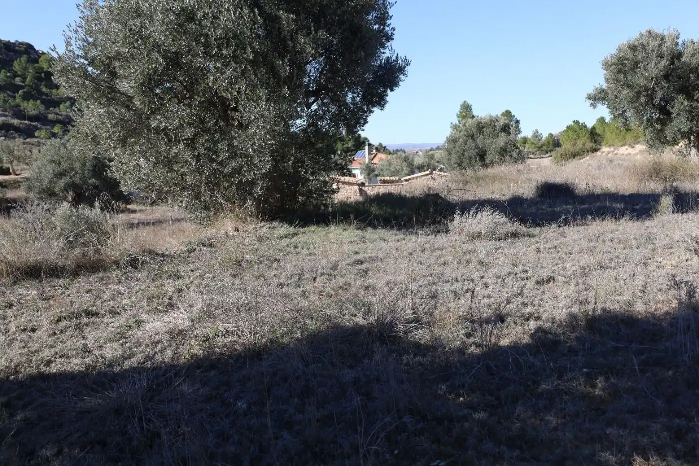 Terreni e lotti in vendita a Camino Carretera castelseras, imagen 6