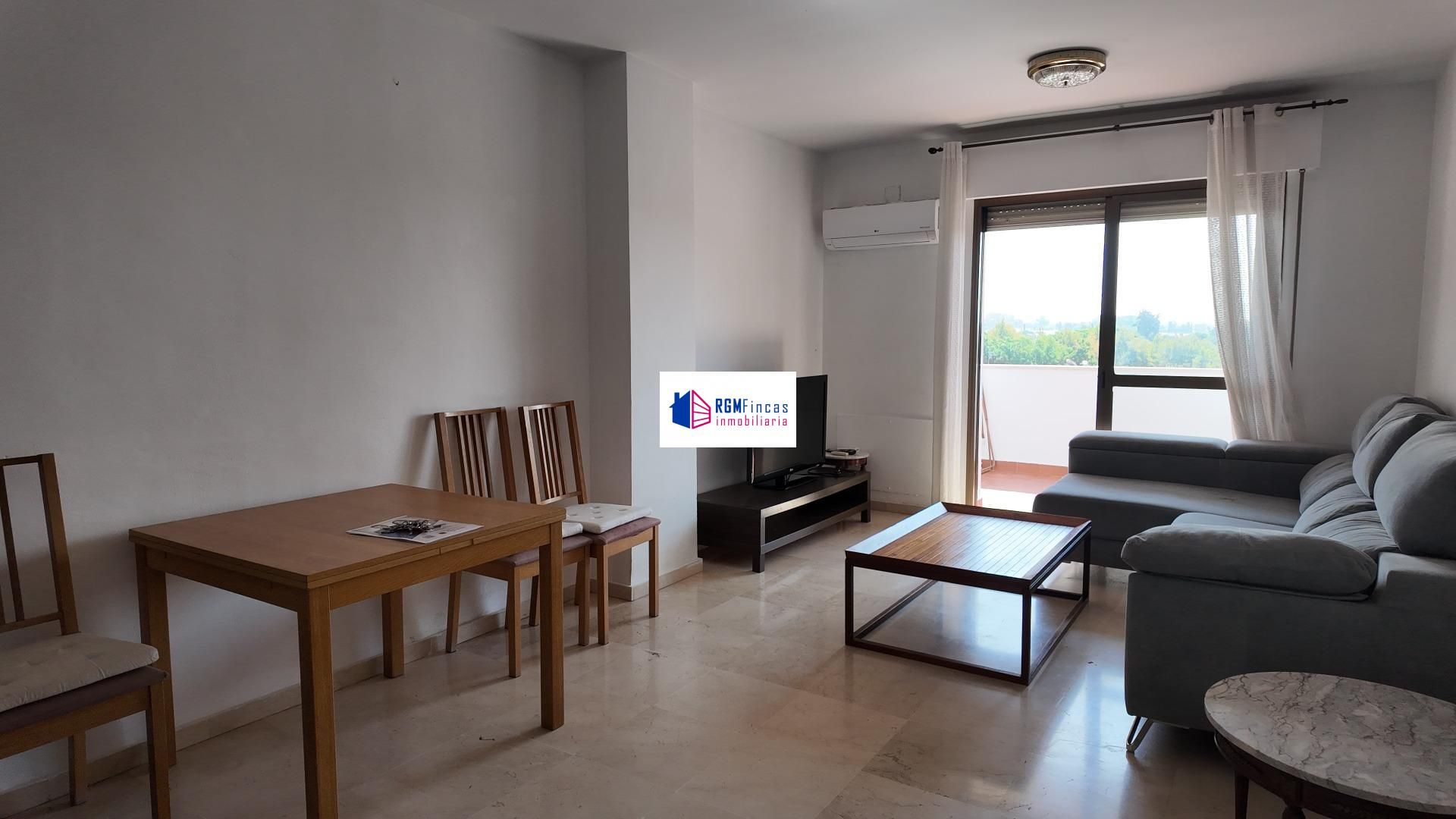 Sala de estar de Piso de alquiler en  Sevilla Capital con Calefacción, Jardín privado y Terraza