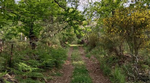 Finca Rúst. en venta en Aracena., imatge 4