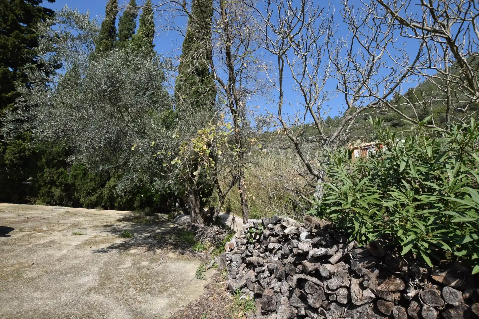 Jardí de Casa o xalet en venda en Alfara de Carles amb Terrassa, Traster i Piscina