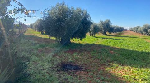 Foto 3 de Casa o chalet en venta en  las Cabras, Almagro, Ciudad Real