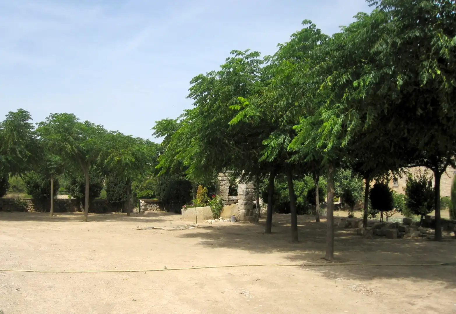 Terreno rústico en venta en Vallbona de Les Monges, imagen 26