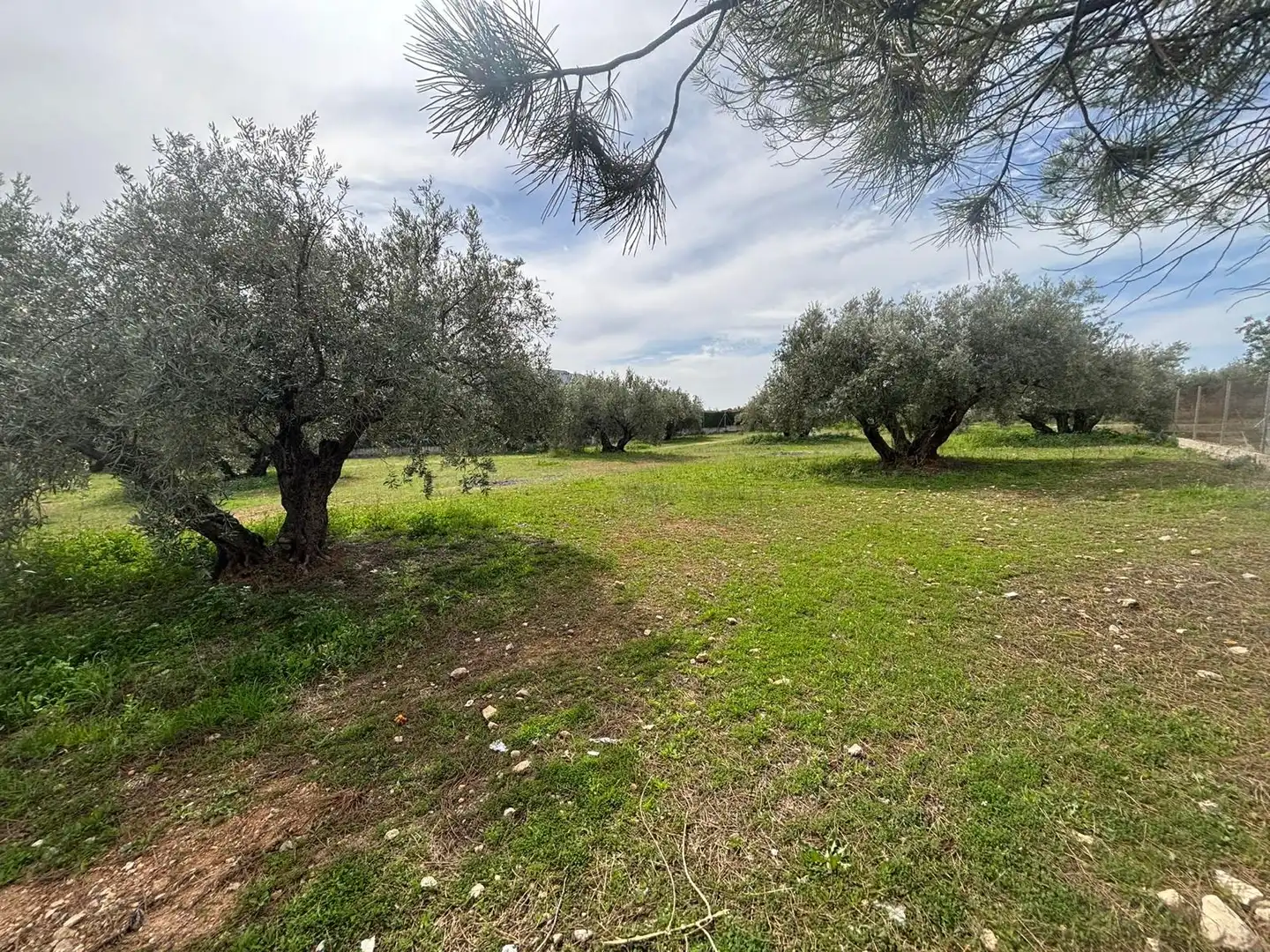 Terreni e lotti in vendita a Avenida de los Alamos, imagen 2