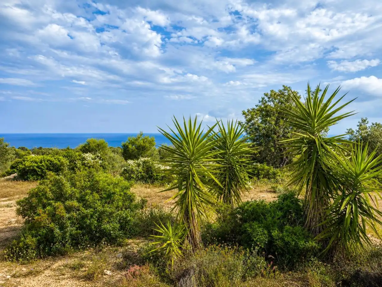 Country homes for sale in L'Ametlla de Mar   with Private garden and Terrace