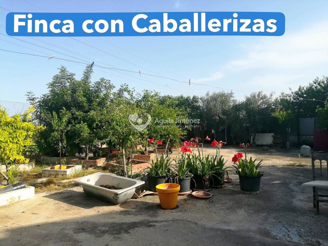 Terreny de lloguer a La Paz