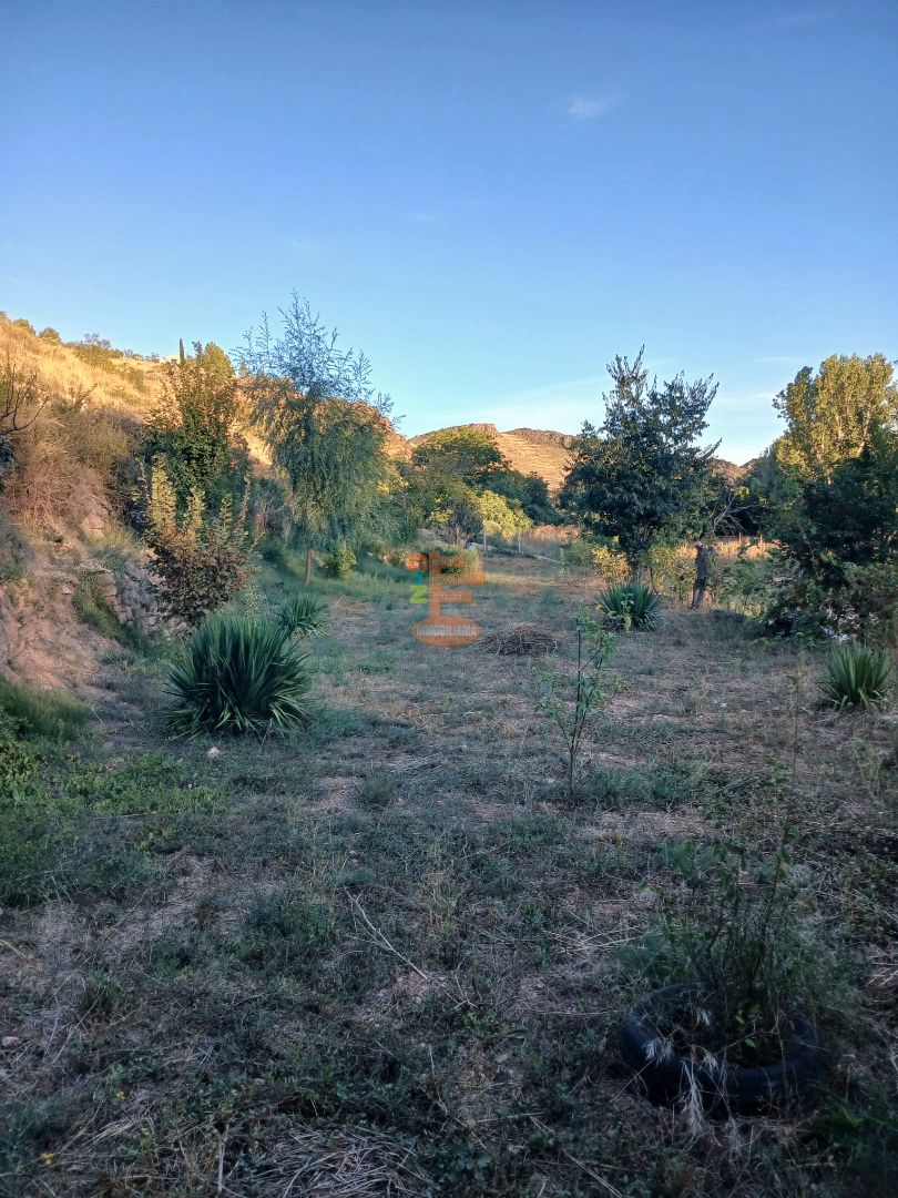 Land for sale in Calatayud