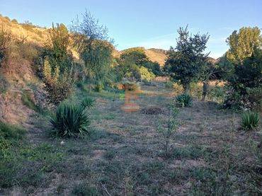 Terreno rustico in vendita a Calle Gotor