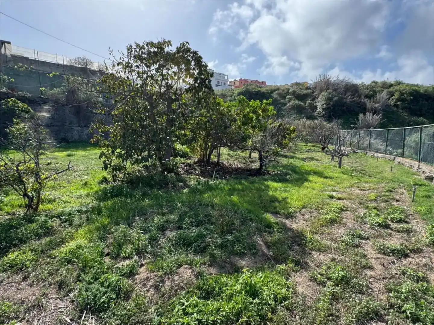 Finca rústica en venda en San Juan de la Rambla