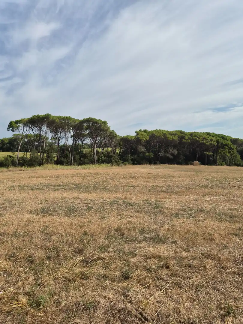 Country house for sale in Diseminado Diseminat 101, imagen 19