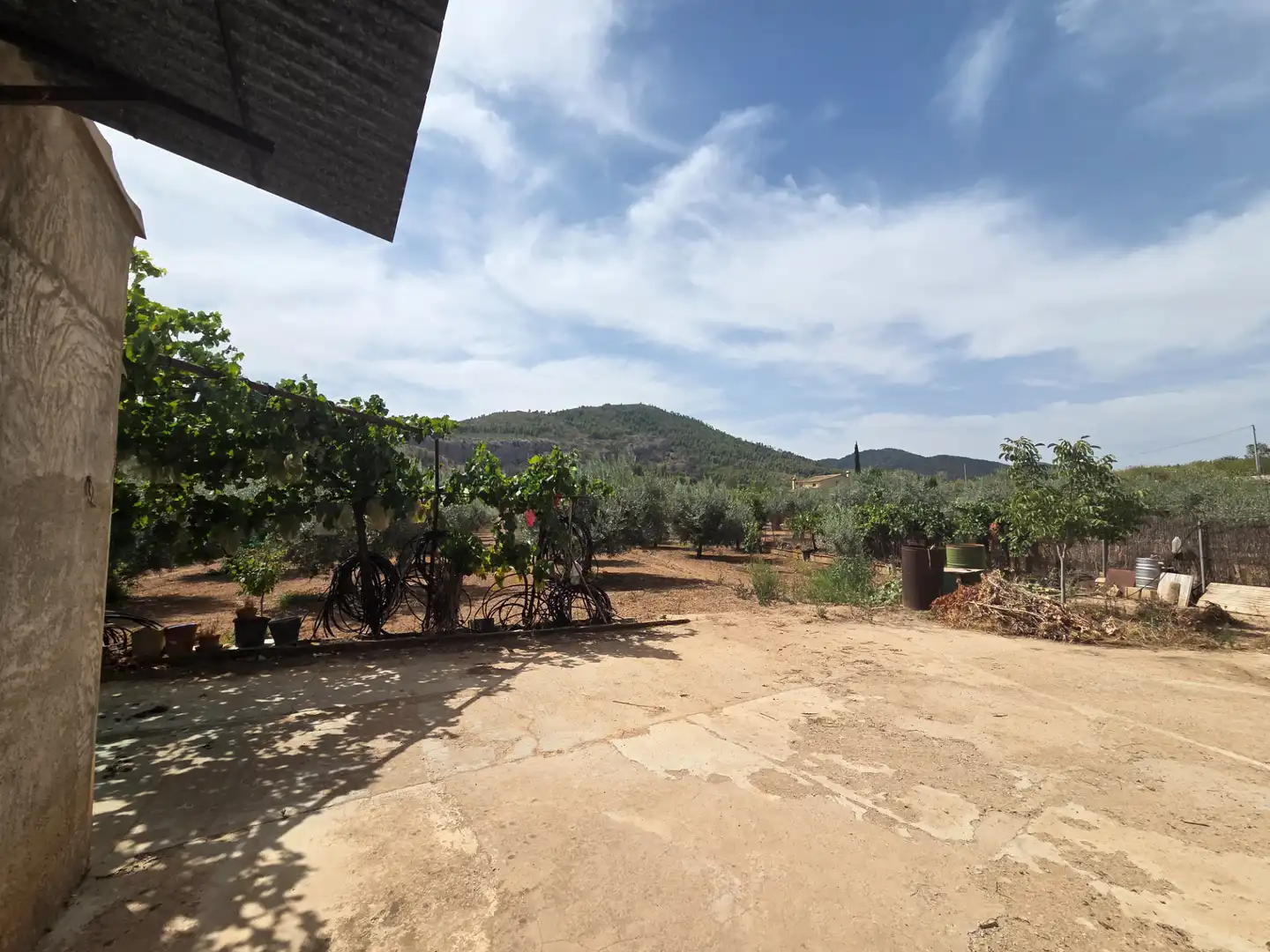 Jardín de Finca rústica en venta en Bullas