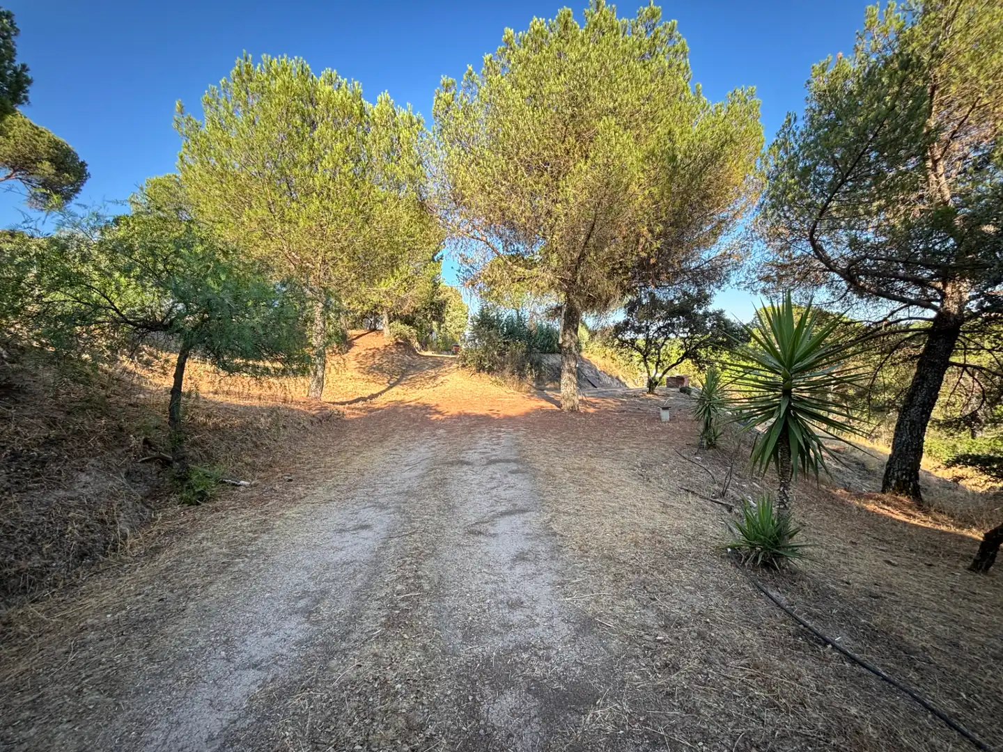 Finca rústica en venta en Andújar con Aire acondicionado, Jardín privado y Piscina