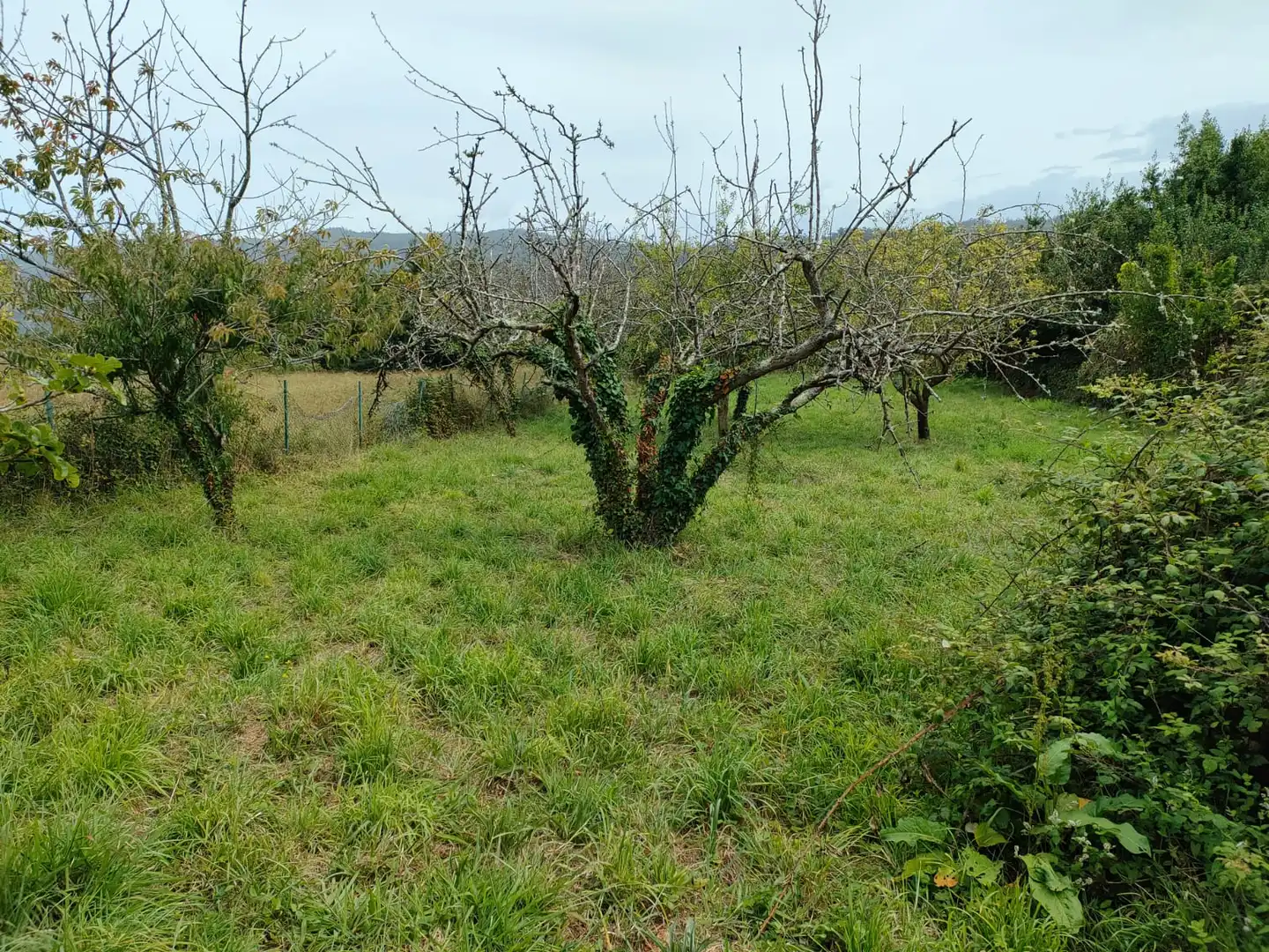 Finca rústica en venda en Cedeira amb Jardí privat i Forn