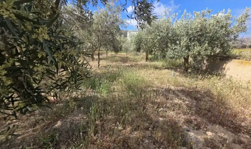 Casa o chalet en venta en Sorbas con Aire acondicionado, Jardín privado y Terraza