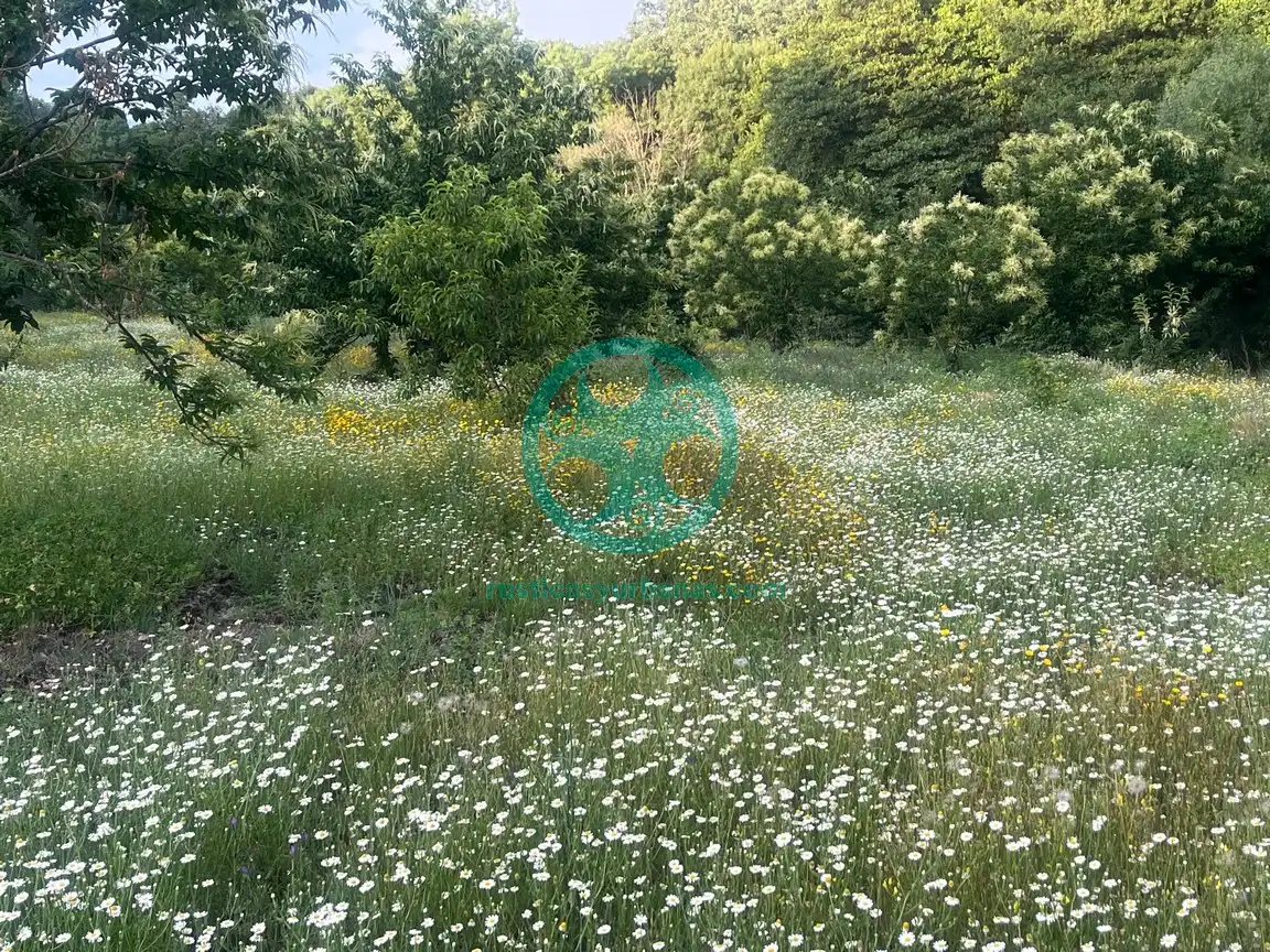 Terreni e lotti in vendita a Garganta la Olla, imagen 12