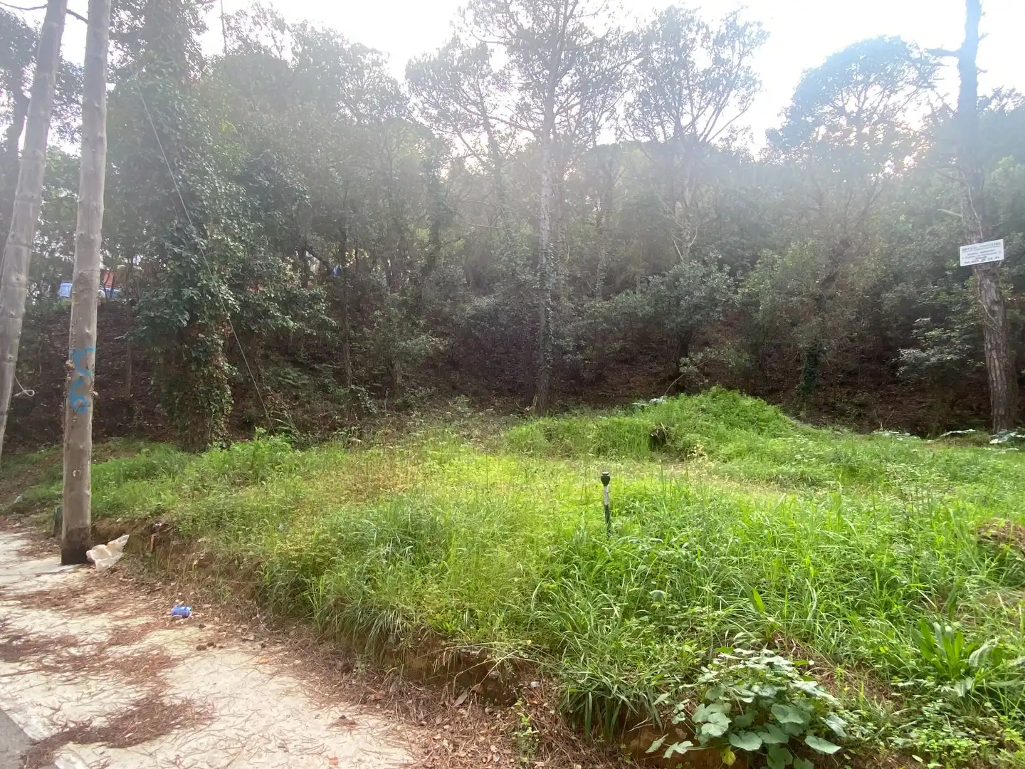 Maison avec jardin à vendre à Mas Pere - Río de Oro, imagen 20