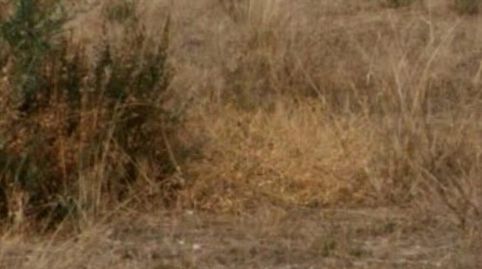 Foto 4 de Residencial en venta en El Castillo, Aspe