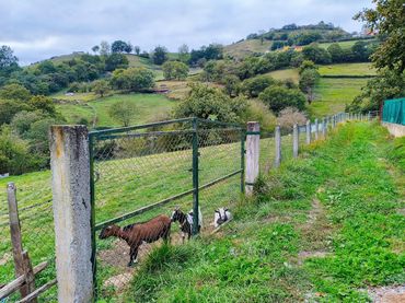 Terrenys i solars en venda a Carretera a Cueva