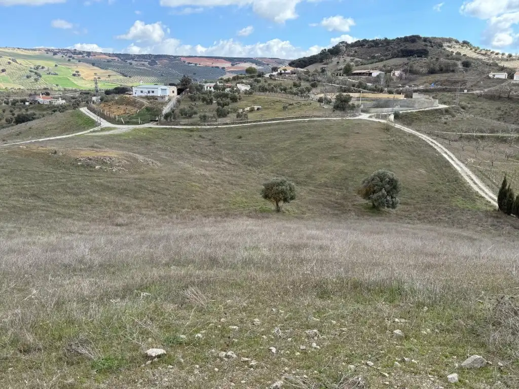 Terreny residencial en venda a Poligono 22 Paraje 13 B Molina, imagen 6