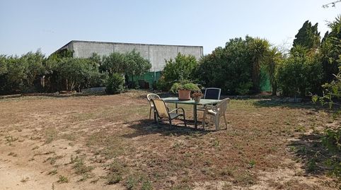 Foto 5 de Finca rústica de alquiler en Medina Sidonia, Cádiz