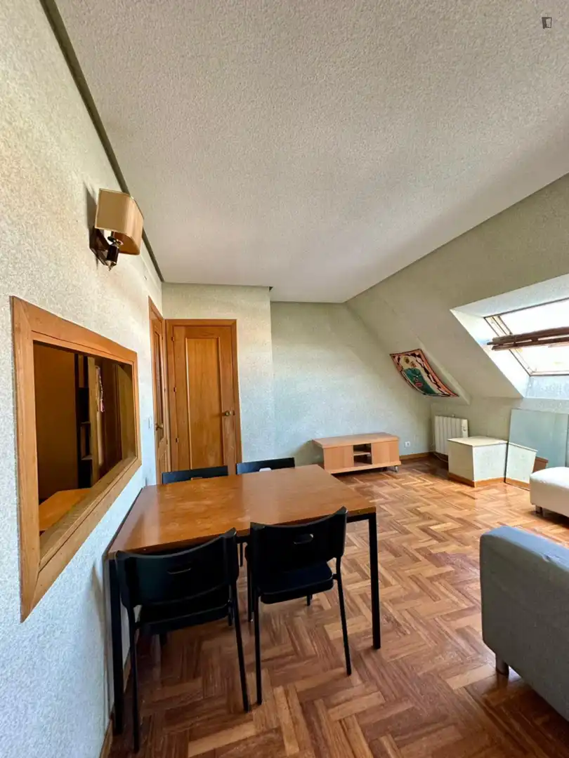 Menjador de Apartament de lloguer en Madrid amb Calefacció, Moblat i Forn