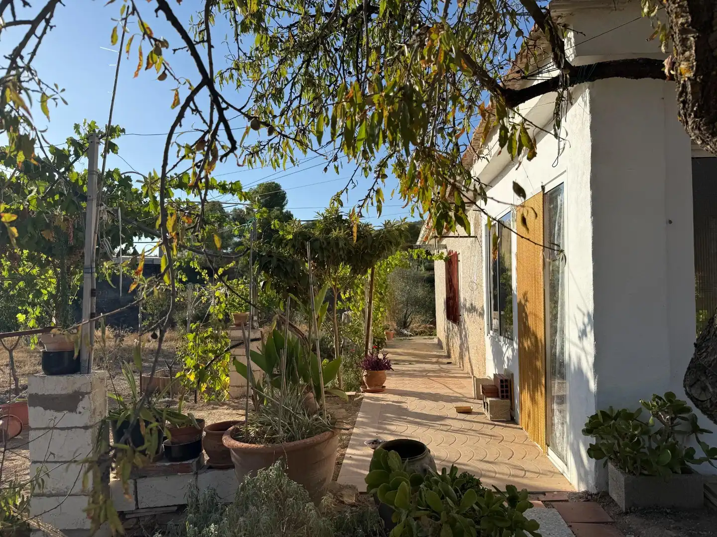 Maison rustique à vendre à Partida PARTIDA PLA DE CUART, imagen 4