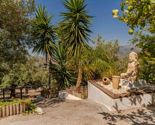 Garden of House or chalet for sale in Itrabo  with Furnished