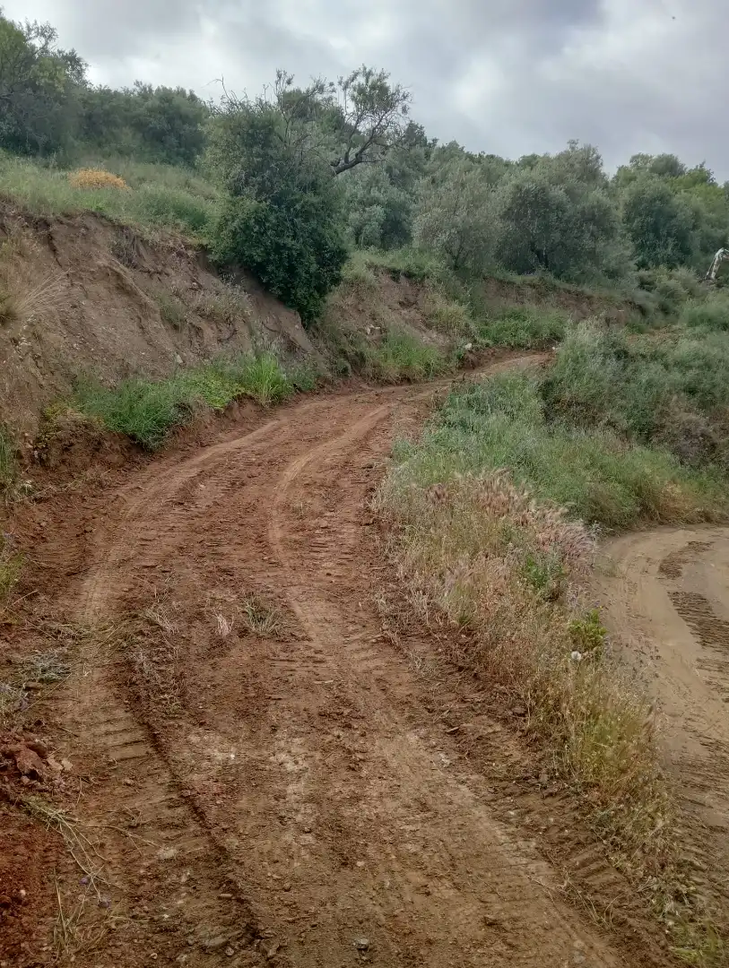 Terreno rustico in vendita a Monda, imagen 15