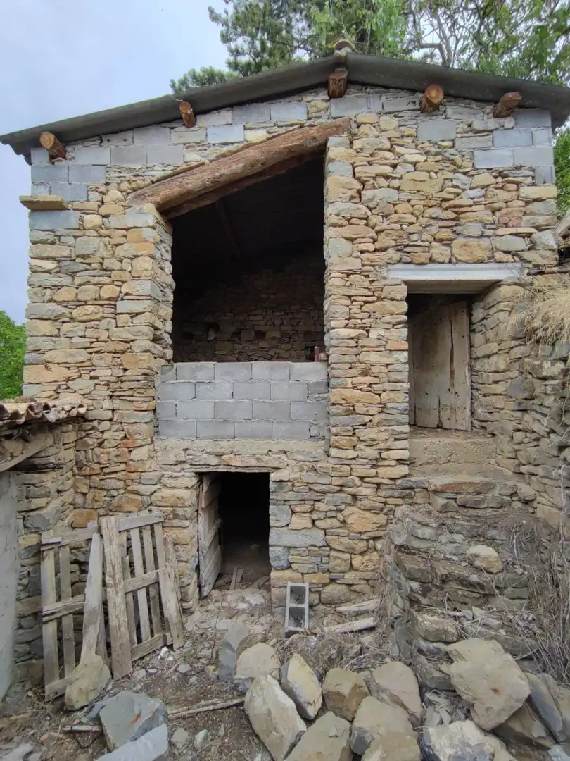 Country homes for sale in La Fueva