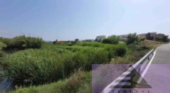 Terrenys i solars en venda a Alcudia de Veo