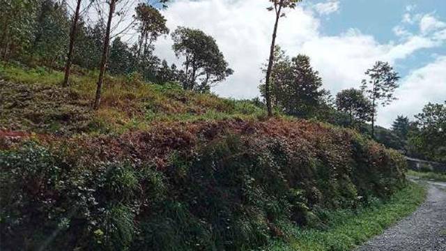 Terreno residencial en Venta en DA CRUZ, POL. 4 PAR. 25 (LG. ÚBEDA), -1 en A Pastoriza