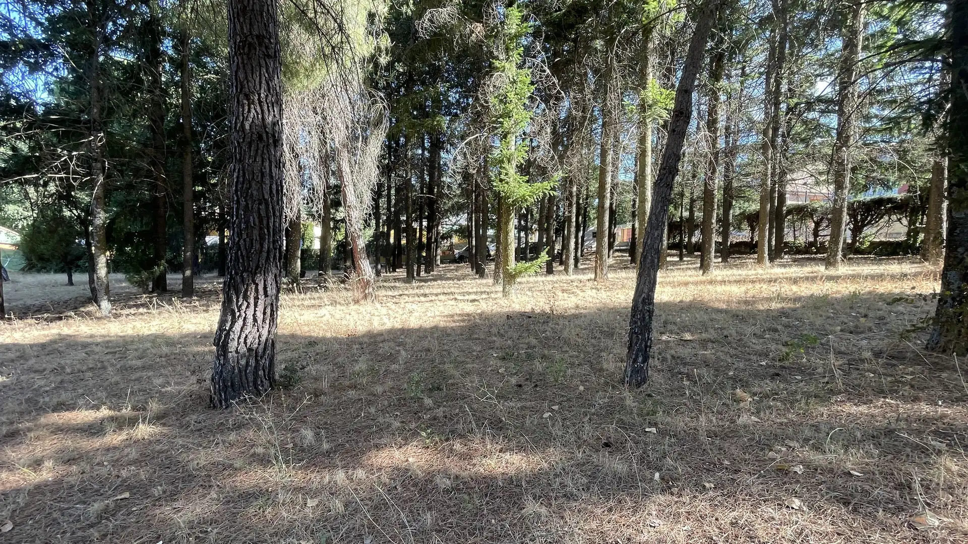Wohnbaugrundstück zum Verkauf in Robledo de Chavela, imagen 5
