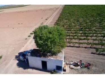 Rustikales Grundstück zum Verkauf in Manzanares