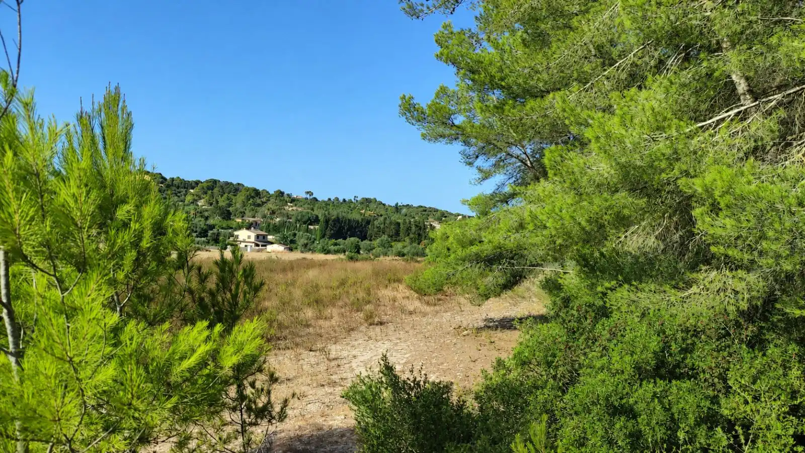 Wohnbaugrundstück zum Verkauf in Santa Margalida Poble, imagen 19