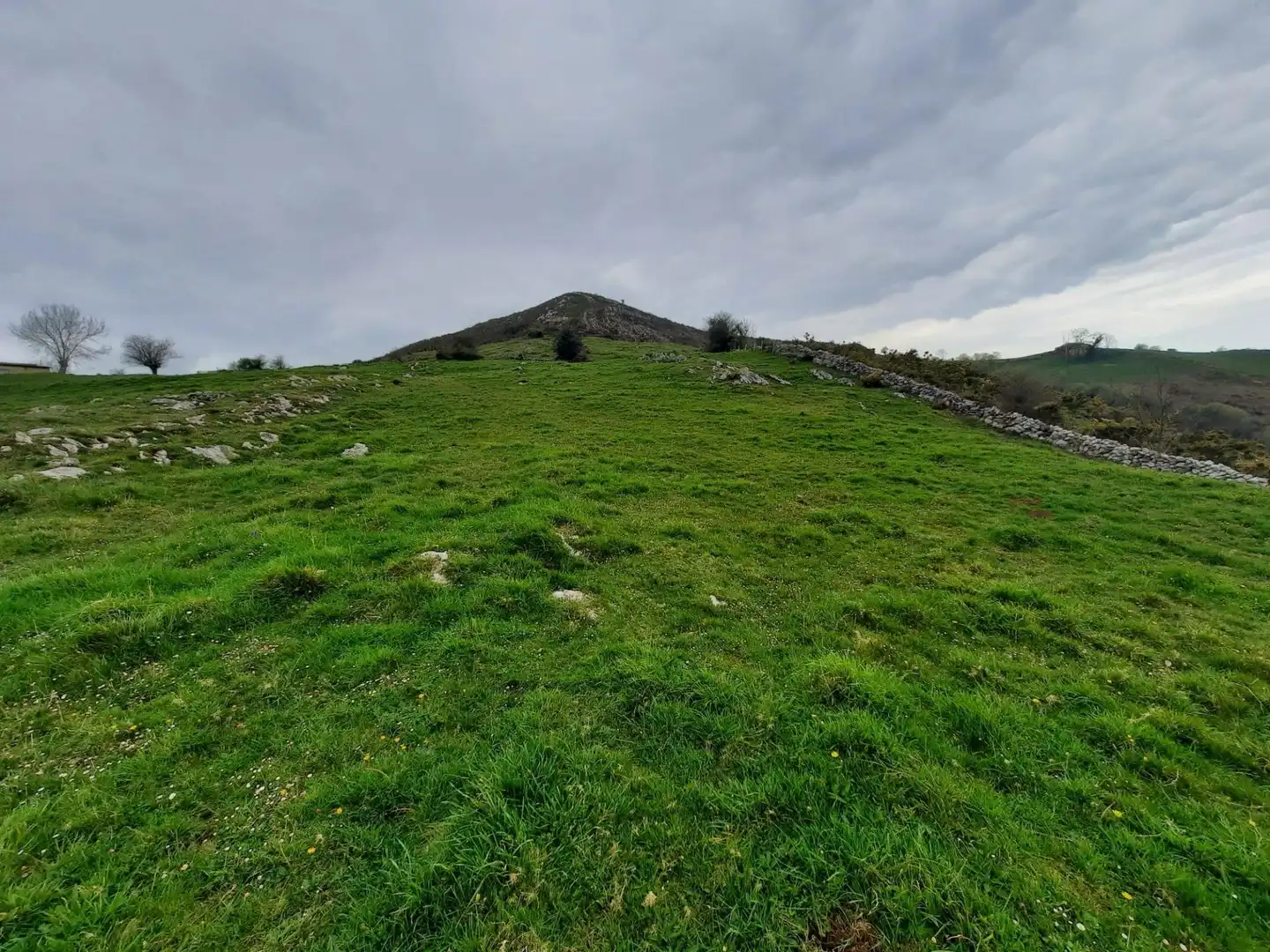Local en venta en Valdáliga