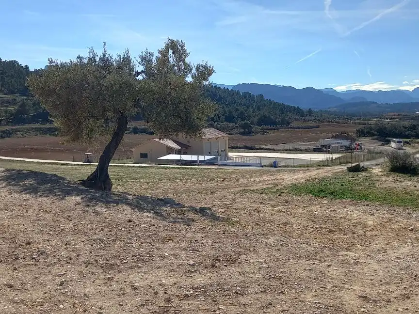 Rural land for sale in Carrer de Freginals 0, imagen 7