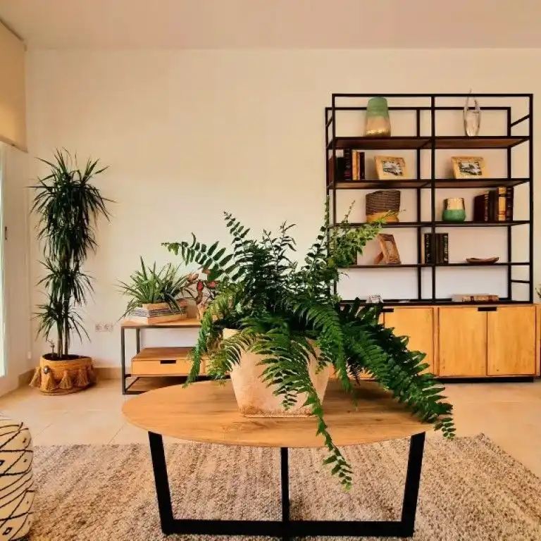 Detached house for sale in Lorca Ciudad, imagen 13