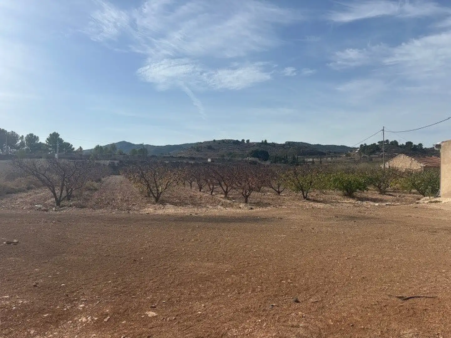 Residential land for sale in Monóvar  / Monòver, imagen 6