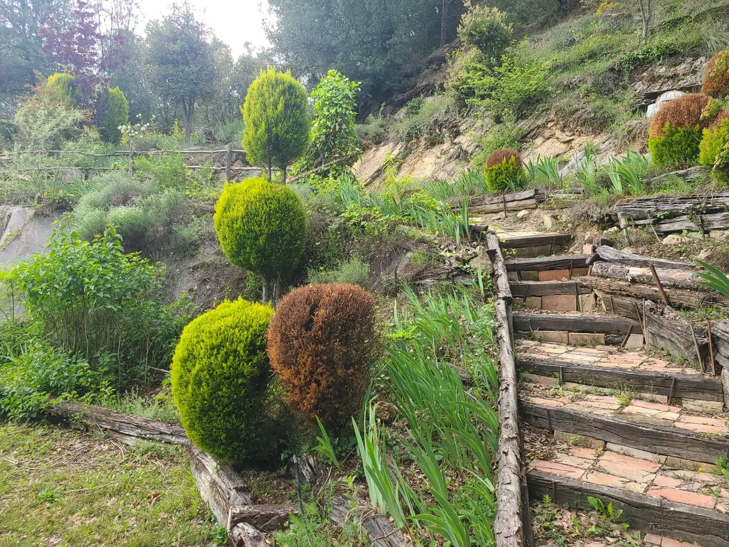 Landhaus mit Garten zum Verkauf in La Vall de Bianya, imagen 15