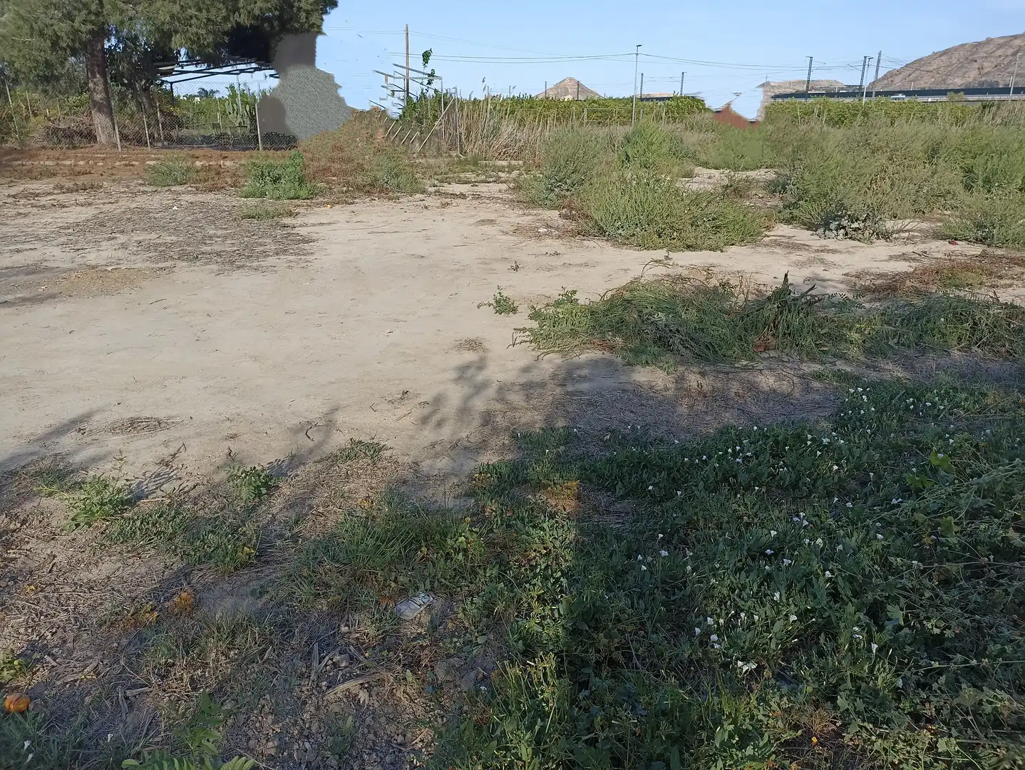 Terrenys i solars en venda a Diseminado Camino Viejo Orihuela 54, imagen 5