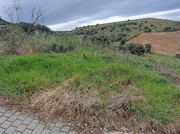Terreno residencial en venta en Calle Circular II